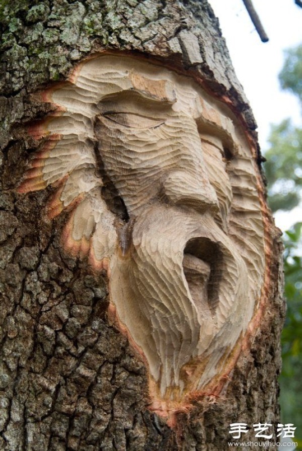 The fusion of tree carving sculpture art and nature