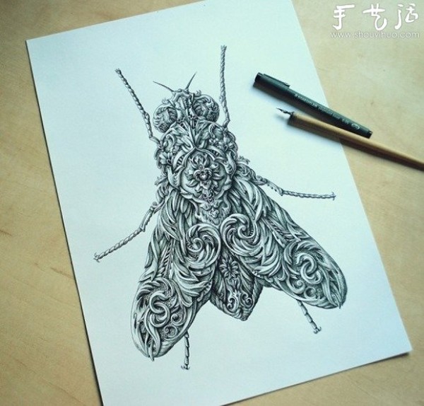 Super-detailed insect hand-painted works