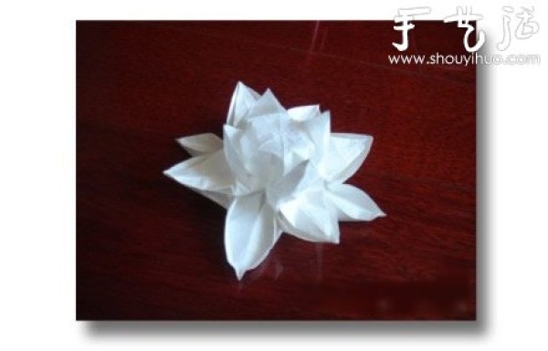 Tutorial on origami lotus with pods