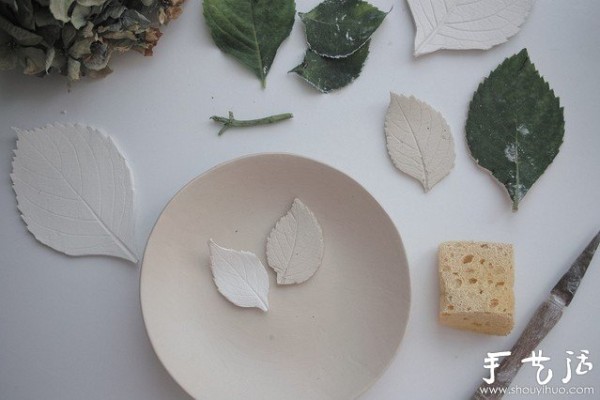 Plants and pottery are combined to DIY beautiful pottery