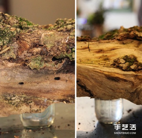 Using dead wood waste in DIY flower pots to make forest-style flower arrangements