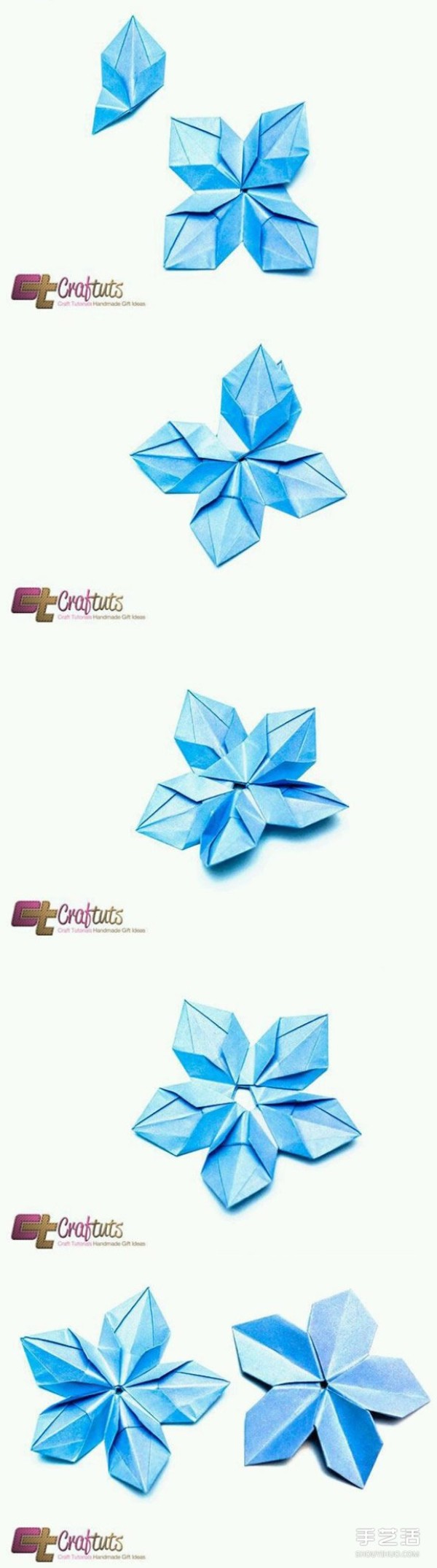 Origami five-pointed star flower illustration with detailed steps of folding a five-pointed star flower