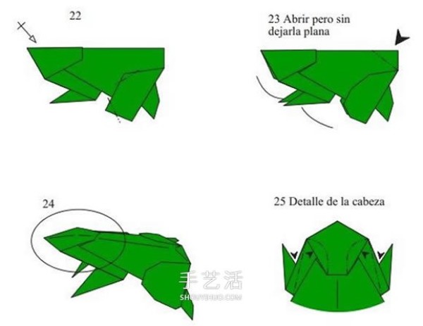 The steps of folding a three-dimensional tree frog, the origami method of a realistic tree frog, the illustration