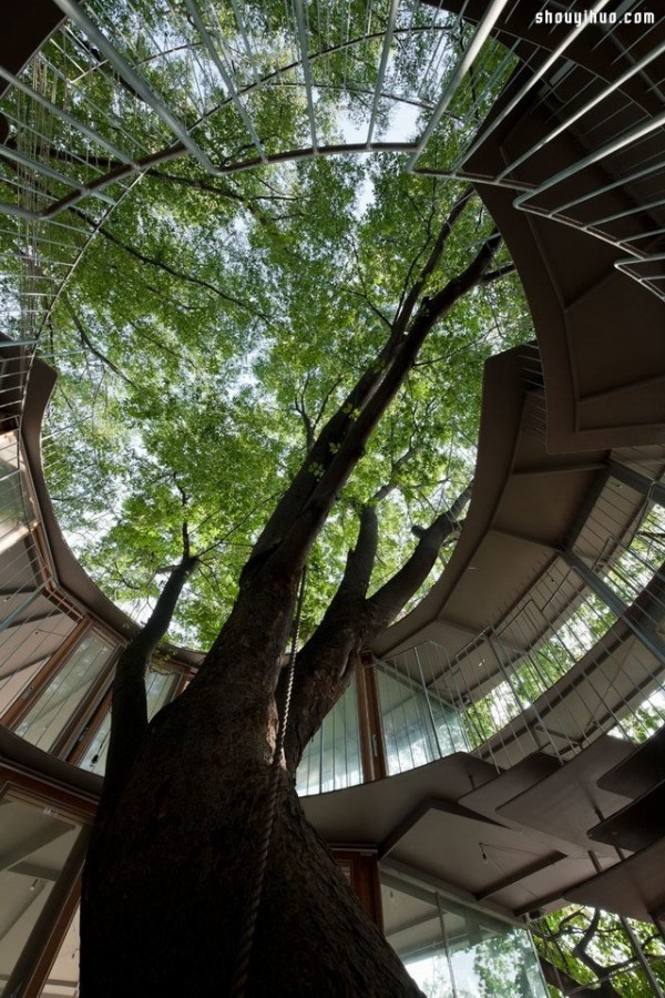 Dashu Kindergarten Design Learns to Play with Nature