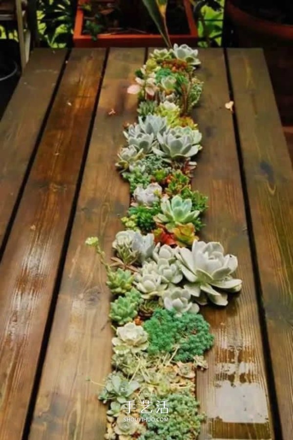 DIY dead wood succulent potted plants How to use dead wood to make succulent flower pots