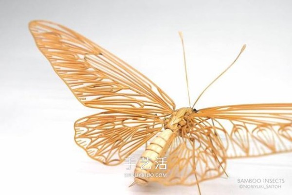 The exquisite insect model made of bamboo is almost the same as the real thing! 