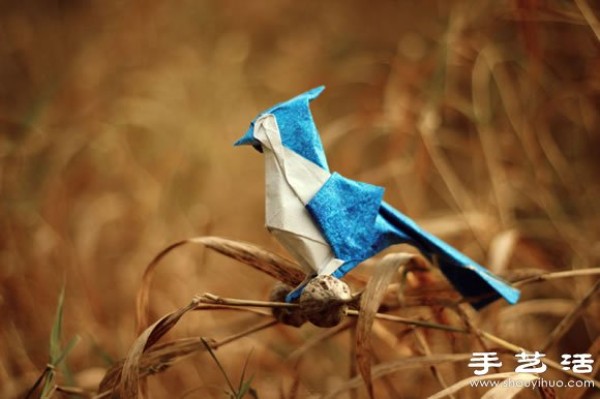 Lifelike and creative origami animals