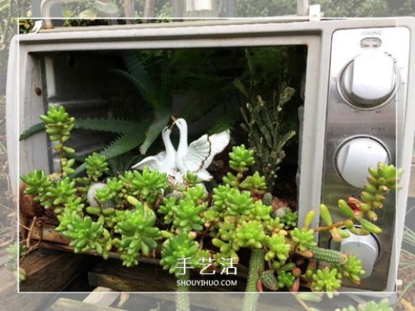 A small way to make a garden bonsai by using old oven waste