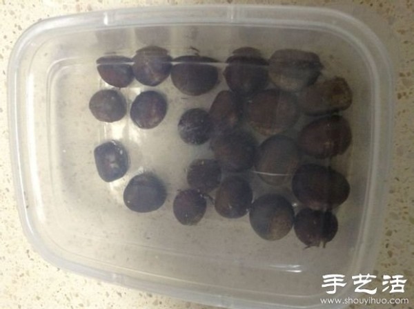 How to DIY sugar-roasted chestnuts in a microwave oven