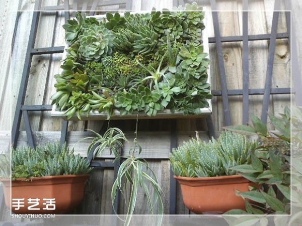 DIY method of transforming a mirror frame into a creative succulent flowerpot