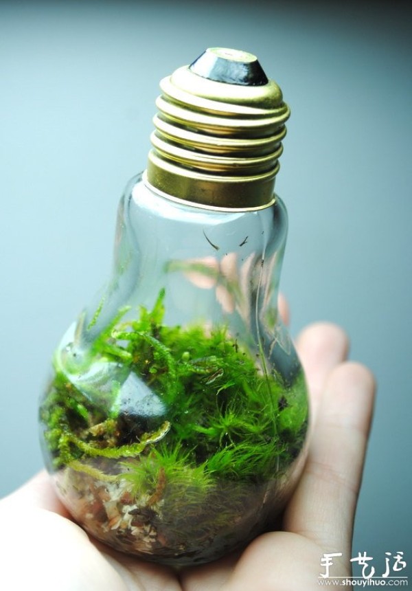 Handmade DIY old-fashioned light bulb ecological bottle