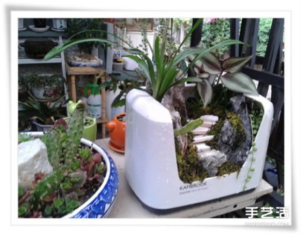 Micro Garden: Beautiful Bonsai Made by Renovating Used Toasters