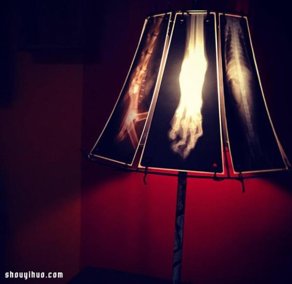 Waste animal bone X-rays to create alternative light-transmitting lampshades