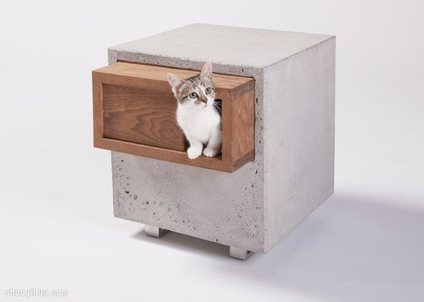 13 kinds of cats love to play in the house design, cat slaves can take it away