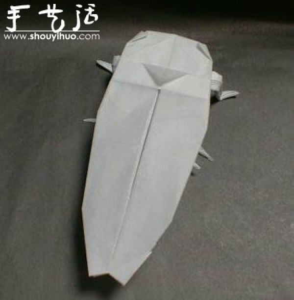 Appreciation of Insect Origami Works