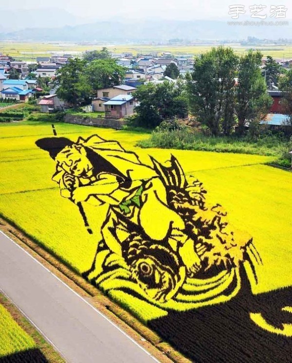 Wonderful and fun creative DIY to create a giant picture in the rice fields