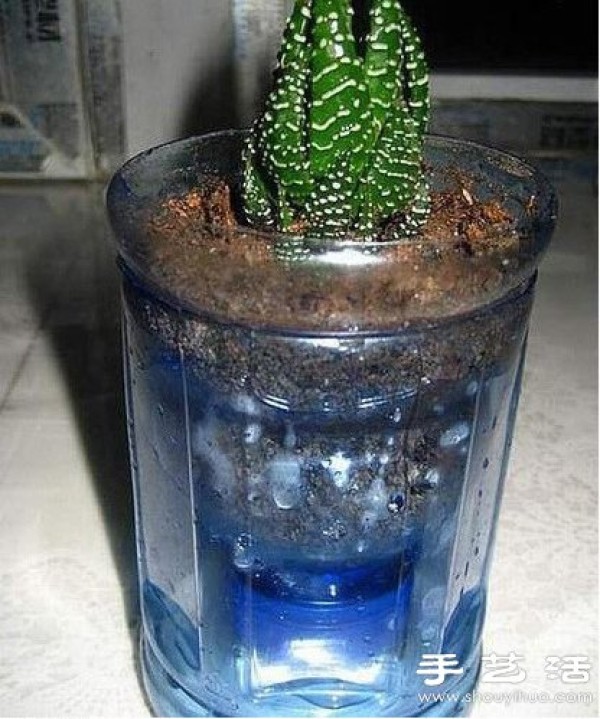 Use plastic bottles and beverage bottles to make DIY flower pots that don