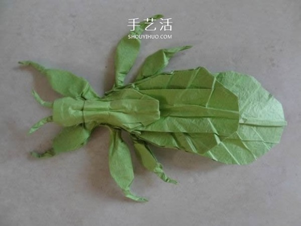 The origami method of leaf insects illustrates the steps of folding leaf insects