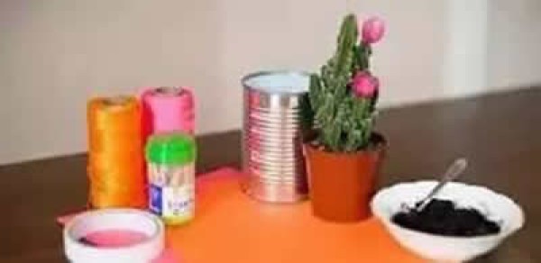 How to make a small potted plant by illustrating the simple use of waste iron cans