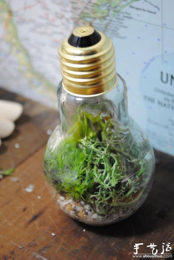 Handmade DIY old-fashioned light bulb ecological bottle