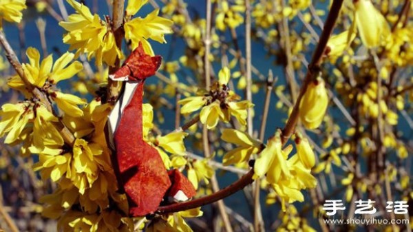 Lifelike and creative origami animals