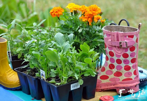 Beautiful flower pots DIYed with rain boots