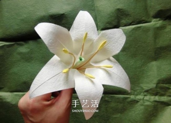 The origami process of the iron cannon lily illustrates the steps of folding the iron cannon lily by hand