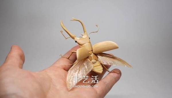 The exquisite insect model made of bamboo is almost the same as the real thing! 