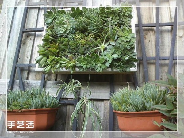 DIY method of transforming a mirror frame into a creative succulent flowerpot