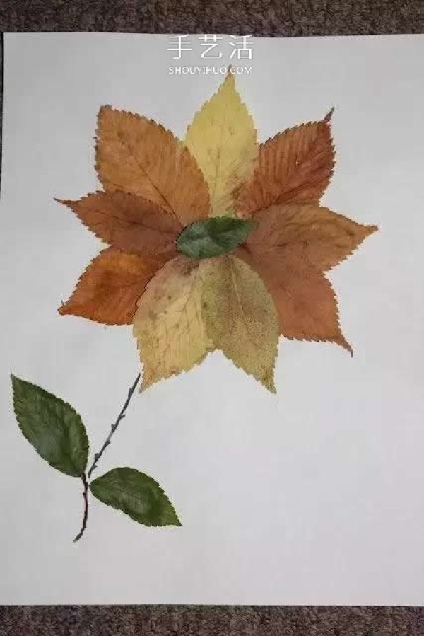 A collection of simple and beautiful leaf stickers for children