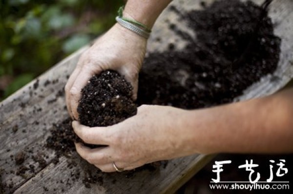 DIY your sky garden