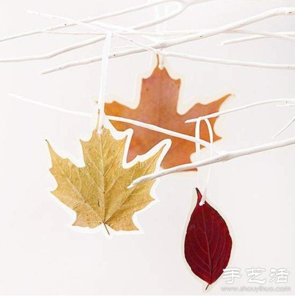 Falling leaves creative DIY home decoration painting