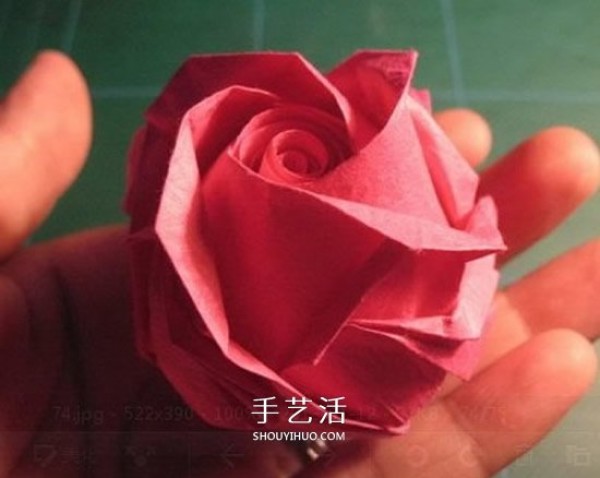 GG Rose Folding Illustration Beautiful and Detailed Rose Origami