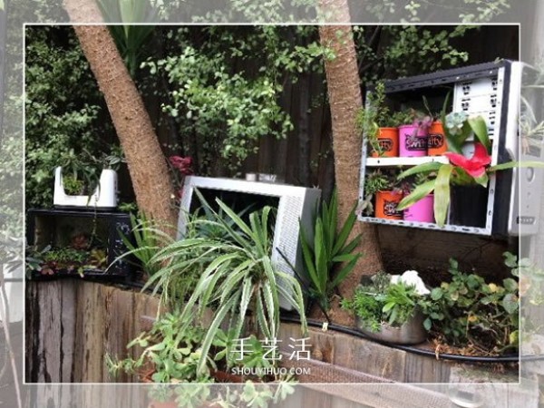 A small way to make a garden bonsai by using old oven waste