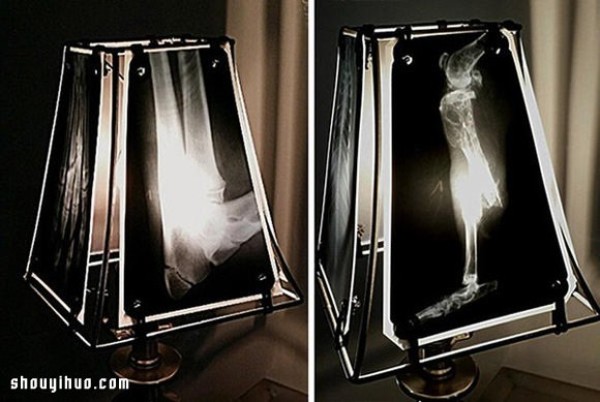 Waste animal bone X-rays to create alternative light-transmitting lampshades