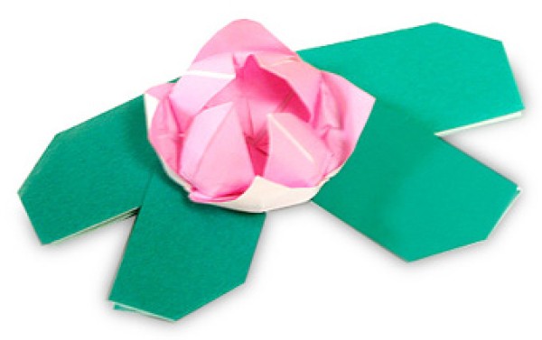 Lotus and lotus leaf origami method