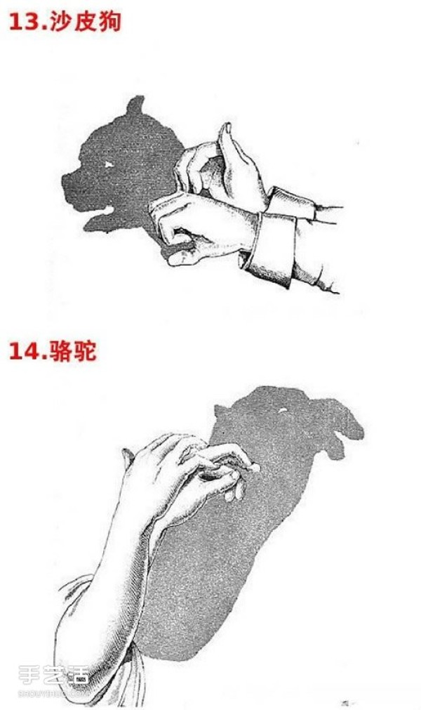 A collection of simple hand shadow pictures for teaching childrens hand shadow play pictures