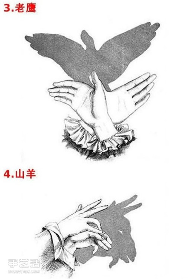 A collection of simple hand shadow pictures for teaching childrens hand shadow play pictures