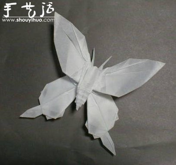 Appreciation of Insect Origami Works