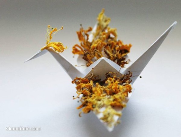 365 Looks of Paper Crane Artists Origami Plan of One Paper Crane a Day