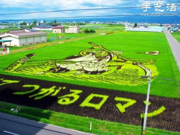 Wonderful and fun creative DIY to create a giant picture in the rice fields