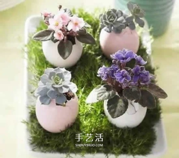 The picture of how to make a flower pot from egg shells brings the artistic beauty of flower arrangement