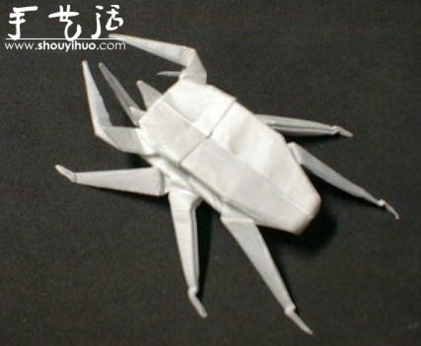 Appreciation of Insect Origami Works