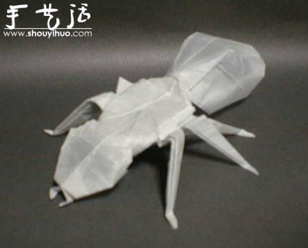 Appreciation of Insect Origami Works