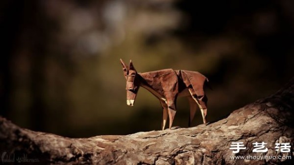 Lifelike and creative origami animals