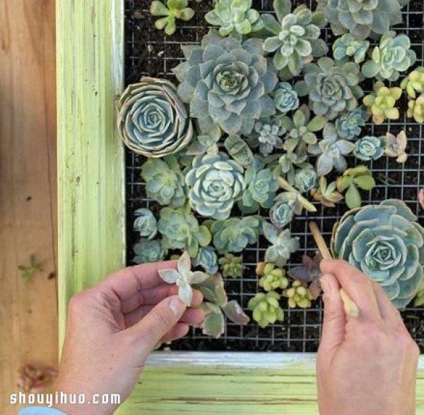 DIY handmade illustrated tutorial for personalized succulent decorative paintings