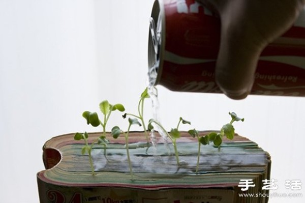 Waste and old books are used as waste in flower pots and waste is used to grow radish seedlings