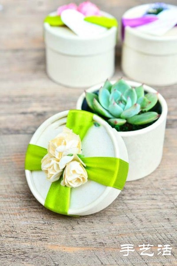 DIY environmentally friendly personalized wedding decoration with succulent plants