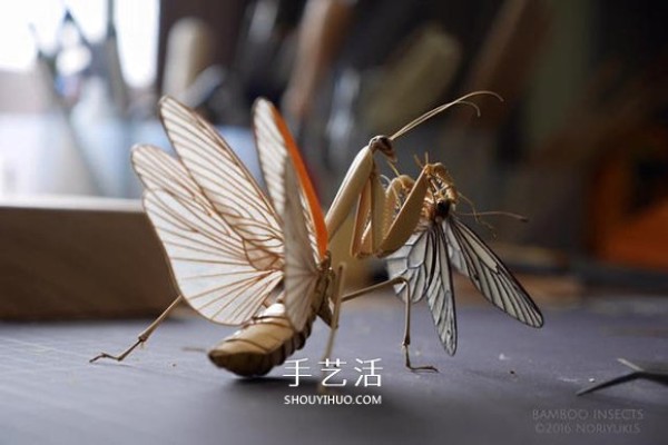 The exquisite insect model made of bamboo is almost the same as the real thing! 