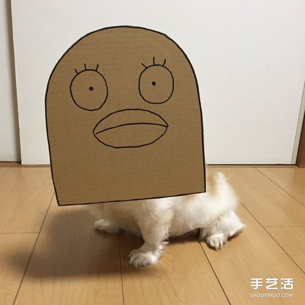 Thick cardboard + dog nose = pet transforms to see how the owner pranks the cutie